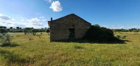 Herdade T7 Venda em Malpica do Tejo,Castelo Branco