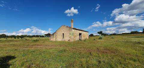 Herdade T7 Venda em Malpica do Tejo,Castelo Branco