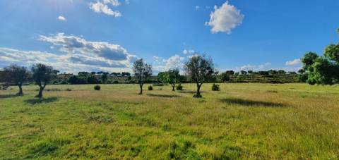 Herdade T7 Venda em Malpica do Tejo,Castelo Branco