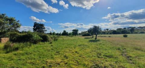 Herdade T7 Venda em Malpica do Tejo,Castelo Branco