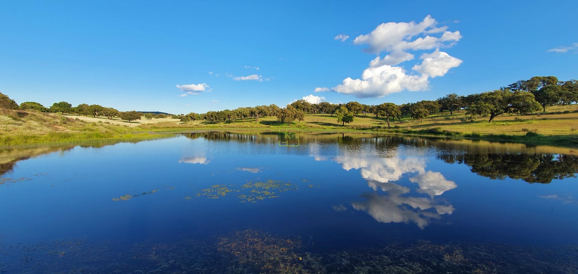 Herdade T7 Venda em Malpica do Tejo,Castelo Branco