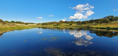 Herdade T7 Venda em Malpica do Tejo,Castelo Branco