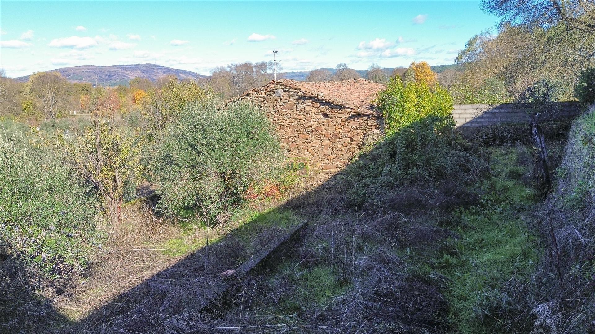 Oportunidade na Benquerença!