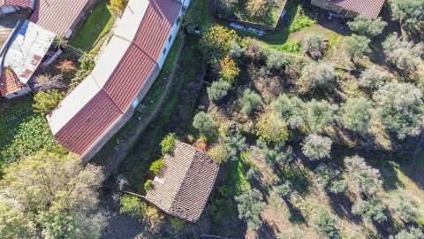 Oportunidade na Benquerença!