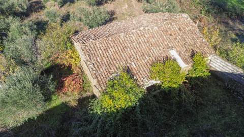 Oportunidade na Benquerença!