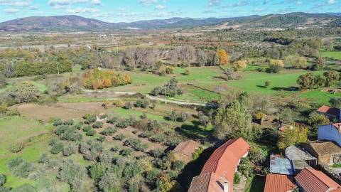 Oportunidade na Benquerença!