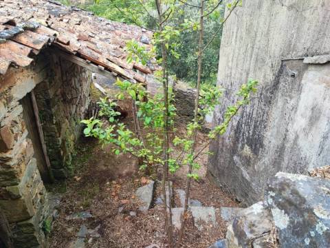 Moradia Devoluta T8 Venda em Sobreira Formosa e Alvito da Beira,Proença-a-Nova