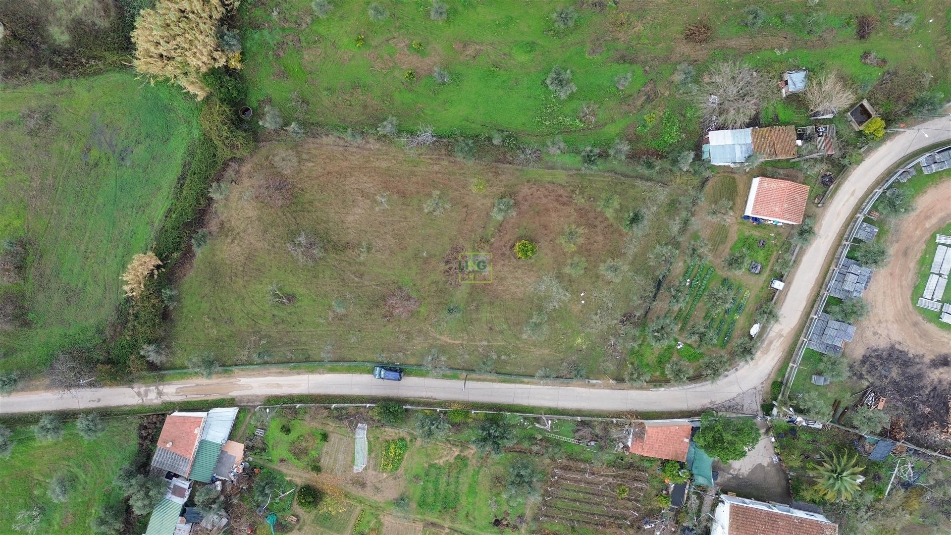 Terreno Rústico  Venda em Ladoeiro,Idanha-a-Nova