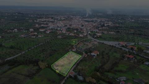 Terreno Rústico  Venda em Ladoeiro,Idanha-a-Nova
