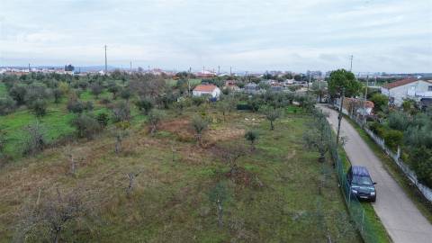 Terreno Rústico  Venda em Ladoeiro,Idanha-a-Nova