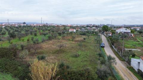 Terreno Rústico  Venda em Ladoeiro,Idanha-a-Nova