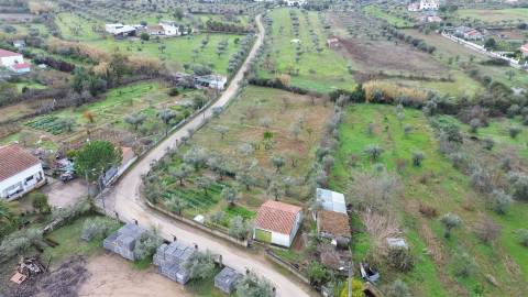 Terreno Rústico  Venda em Ladoeiro,Idanha-a-Nova