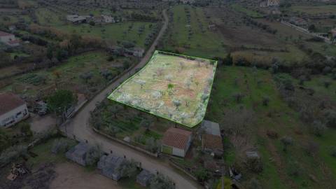Terreno Rústico  Venda em Ladoeiro,Idanha-a-Nova