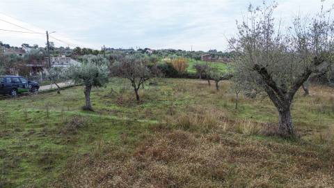 Terreno Rústico  Venda em Ladoeiro,Idanha-a-Nova