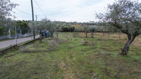 Terreno Rústico  Venda em Ladoeiro,Idanha-a-Nova