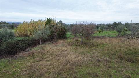 Terreno Rústico  Venda em Ladoeiro,Idanha-a-Nova