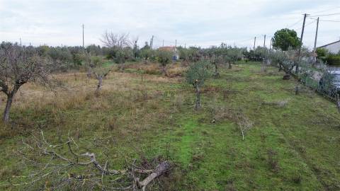 Terreno Rústico  Venda em Ladoeiro,Idanha-a-Nova