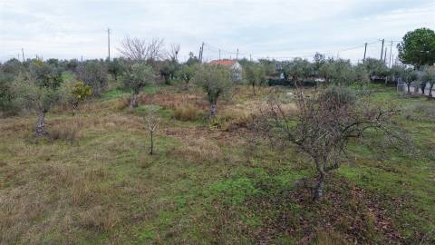 Terreno Rústico  Venda em Ladoeiro,Idanha-a-Nova