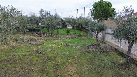 Terreno Rústico  Venda em Ladoeiro,Idanha-a-Nova