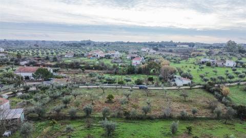 Terreno Rústico  Venda em Ladoeiro,Idanha-a-Nova