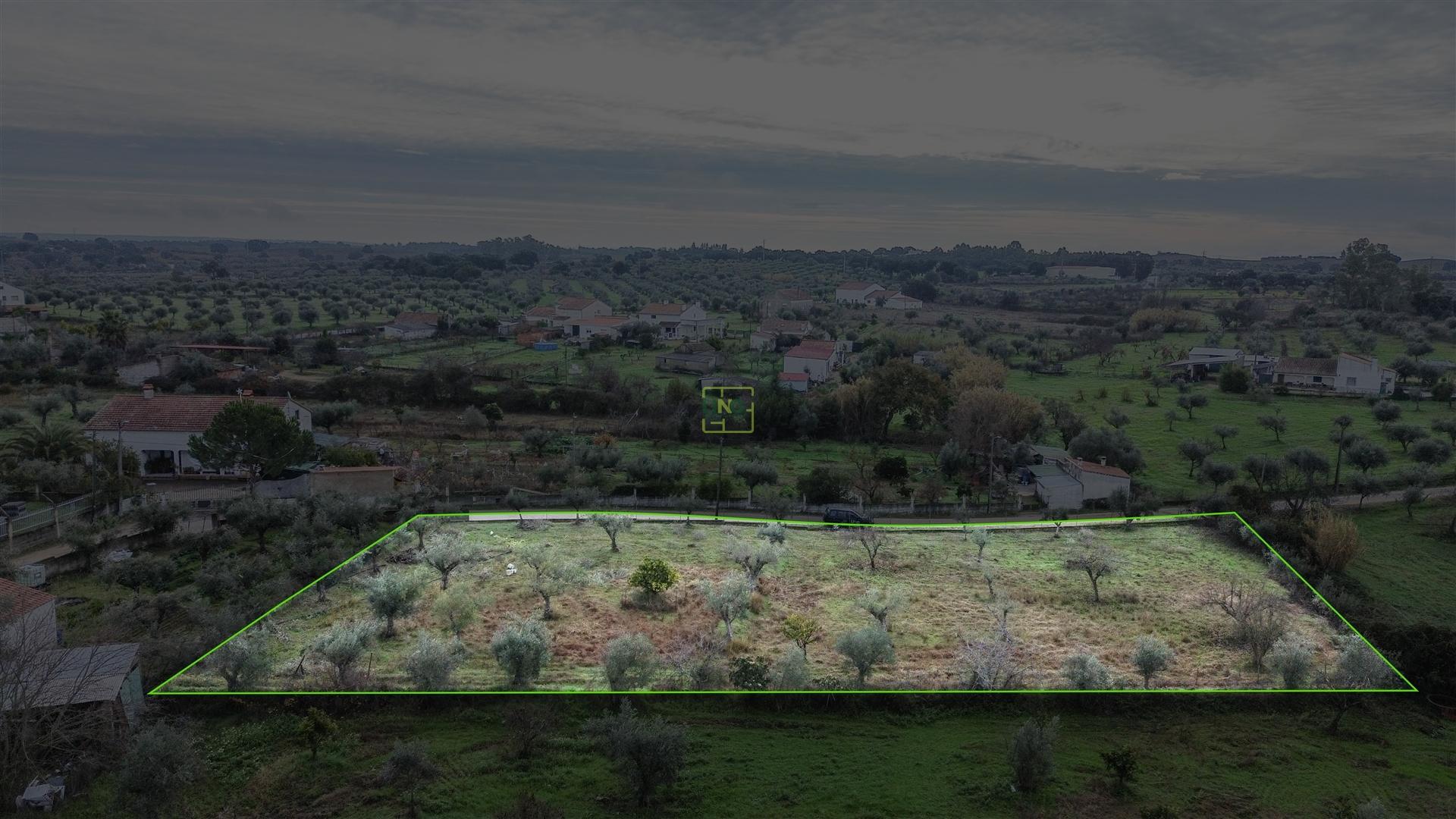 Terreno Rústico  Venda em Ladoeiro,Idanha-a-Nova