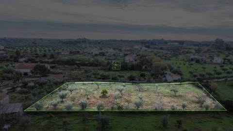Terreno Rústico  Venda em Ladoeiro,Idanha-a-Nova