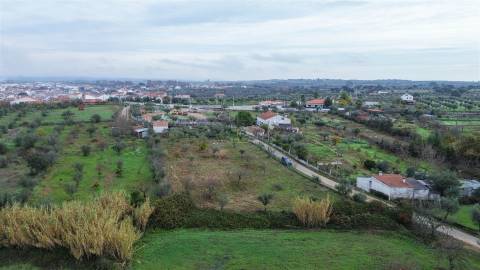 Terreno Rústico  Venda em Ladoeiro,Idanha-a-Nova