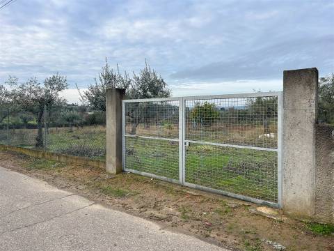 Terreno Rústico  Venda em Ladoeiro,Idanha-a-Nova