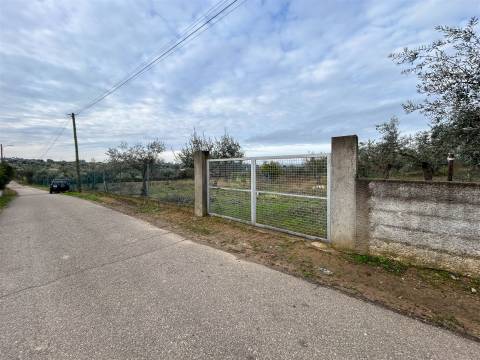 Terreno Rústico  Venda em Ladoeiro,Idanha-a-Nova