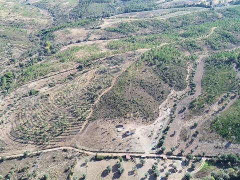 Quinta  Venda em Aranhas,Penamacor