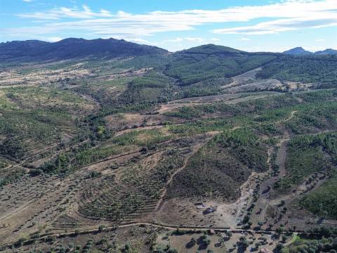 Quinta  Venda em Aranhas,Penamacor