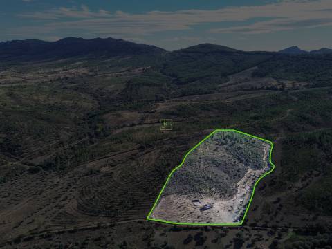 Quinta  Venda em Aranhas,Penamacor