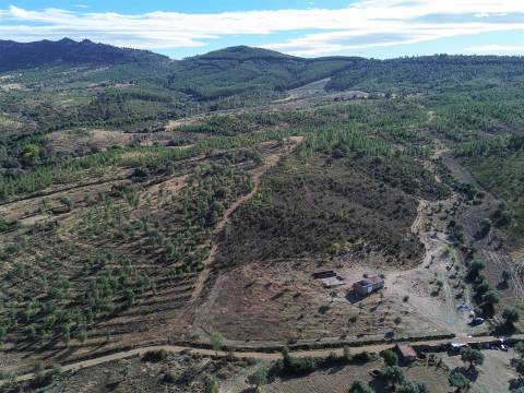 Quinta  Venda em Aranhas,Penamacor