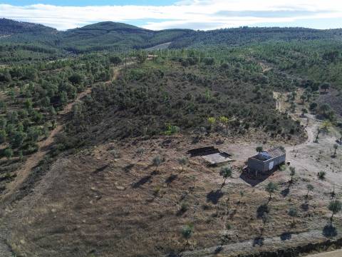 Quinta  Venda em Aranhas,Penamacor