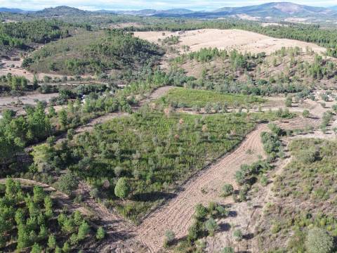 Quinta  Venda em Aranhas,Penamacor