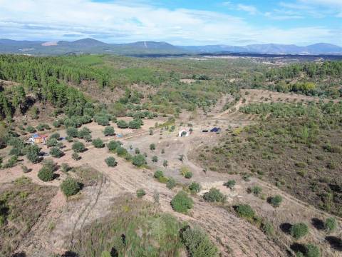 Quinta  Venda em Aranhas,Penamacor