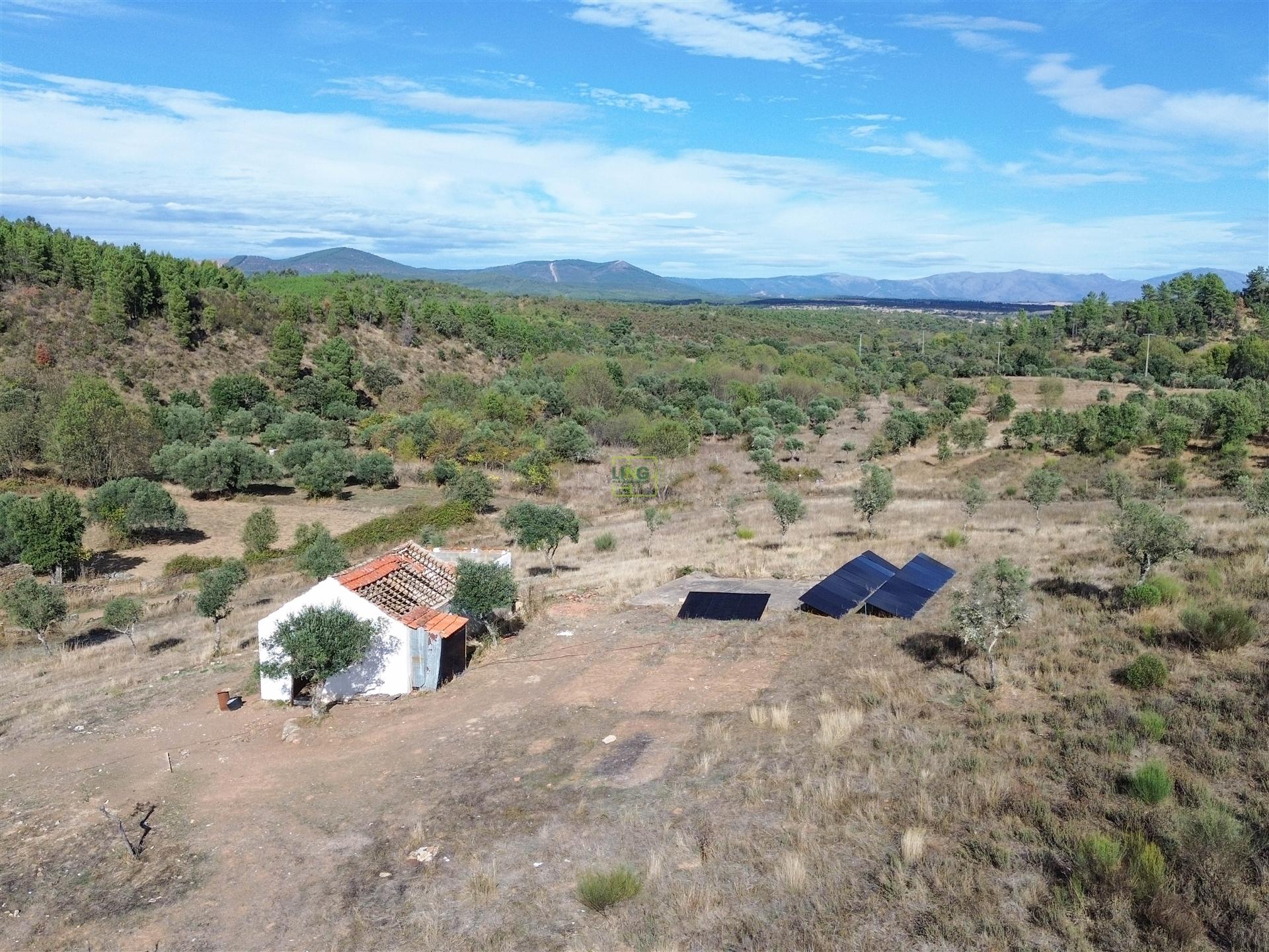 Quinta  Venda em Aranhas,Penamacor