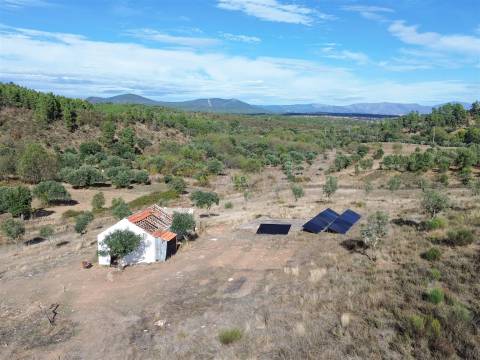 Quinta  Venda em Aranhas,Penamacor