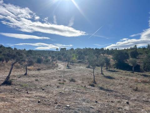 Quinta  Venda em Aranhas,Penamacor