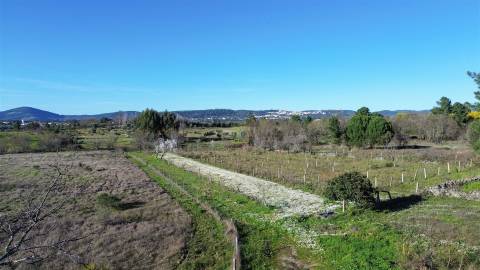 Terreno Rústico em Penamacor
