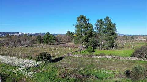 Terreno Rústico em Penamacor
