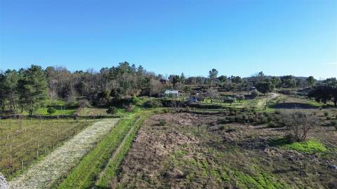 Terreno Rústico em Penamacor