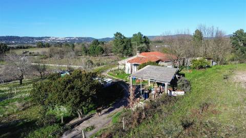 Terreno Rústico em Penamacor