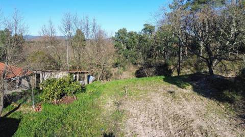 Terreno Rústico em Penamacor