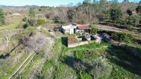 Terreno Rústico em Penamacor