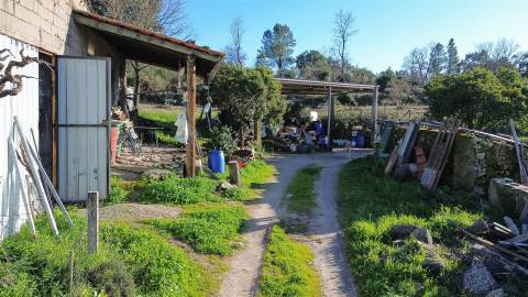 Terreno Rústico em Penamacor