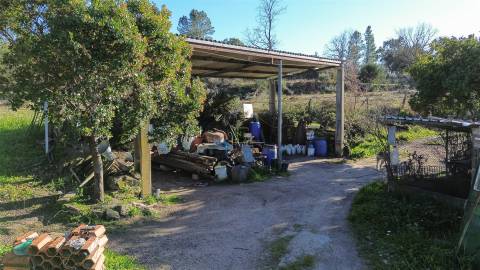 Terreno Rústico em Penamacor