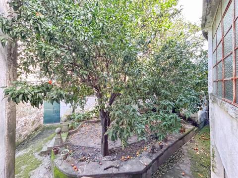 Moradia com Quintal em Alcains