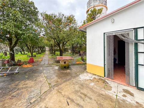 Quinta com 9 Hectares – Natureza, Privacidade e Potencial Único, em Castelo Branco