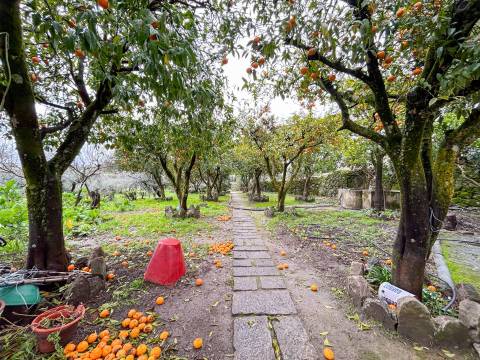 Quinta com 9 Hectares – Natureza, Privacidade e Potencial Único, em Castelo Branco
